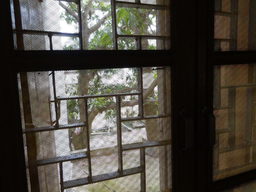 Hotel Upasana Bhubaneswar Cameră foto